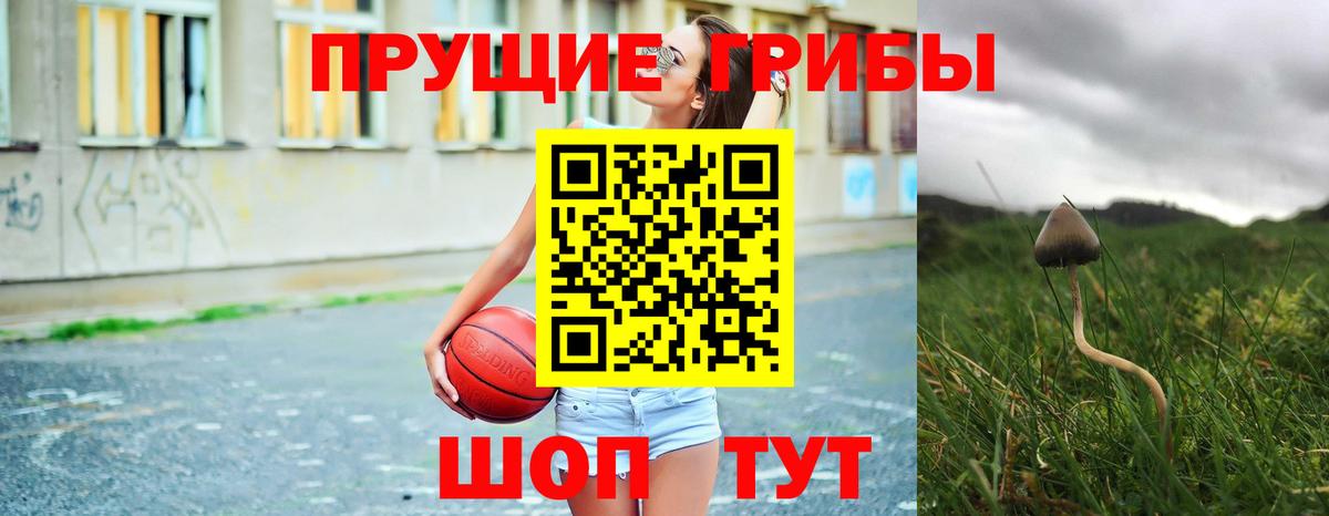 Галлюциногенные грибы Psilocybe  Вход с VPN  Псилоцибиновые грибы Cubensis  сколько стоит  Полевской 
